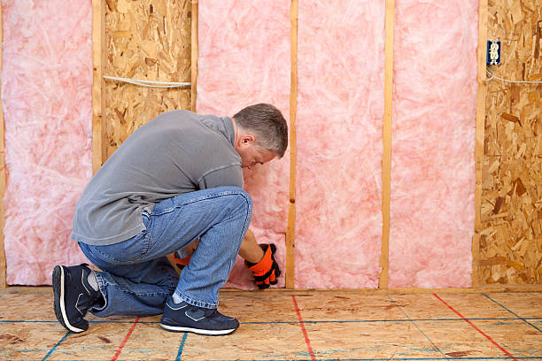 Best Insulation Maintenance and Repair in Lake Lorelei, OH
